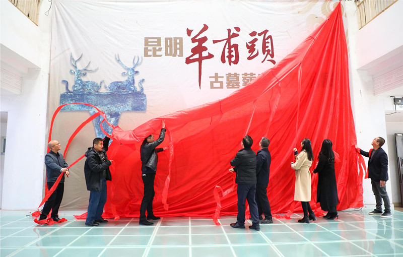 微信图片_20241219142134.jpg